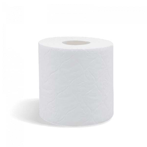 Toilet Tissue Roll 2 Ply 48 Rolls