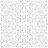 crss_silver_star-500x500-1.jpg