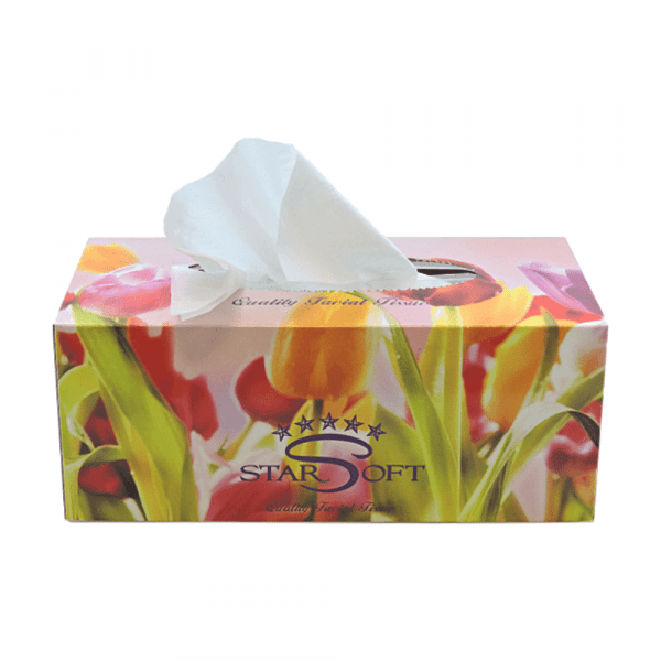 Starsoft Facial Tissue 2ply 180 Sheets
