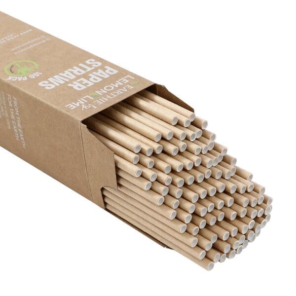 Lemon & Lime Eco Paper Straws Natural 100pcs - Image 2