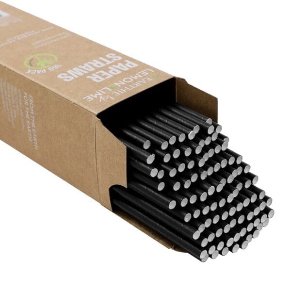 Lemon & Lime Eco Paper Straws Black 100pcs - Image 2