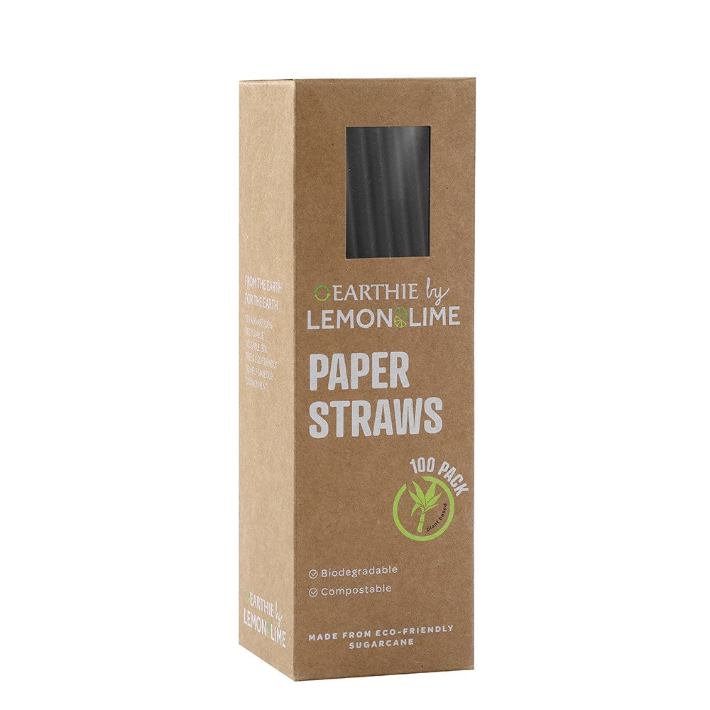 14551 (Lemon & Lime Eco Paper Straws Black 100pcs)